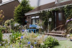 une maison avec un banc bleu dans le jardin dans l'établissement Seagulls Nest Northern Ireland, à Newcastle