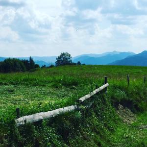 a wooden fence in a field with mountains in the background at Studio w Pieninach in Krościenko