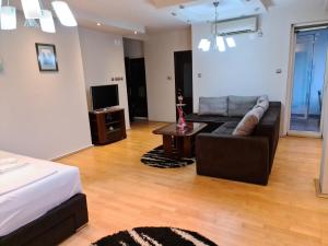 a living room with a couch and a tv at City Center Apartments in Strumica