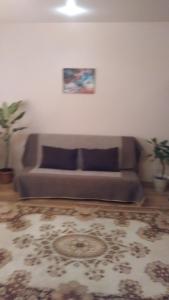 Central Apartment on Pobedy 3 في ليبيتسك: غرفة معيشة مع أريكة بنية في غرفة