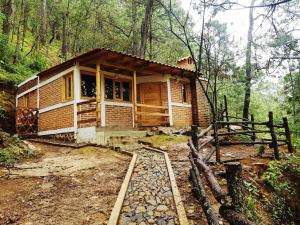 una pequeña casa de madera en medio de un bosque en Cabañas las Alazanas, en Mazamitla