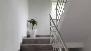 Fotografie z fotogalerie ubytování Apartmani Šalković v destinaci Ðurmanec