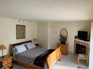 um quarto com uma cama, uma televisão e uma lareira em Sterling Cove em Sooke