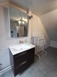 La salle de bains est pourvue d'un lavabo et d'un miroir. dans l'établissement 6 personnes, neuf & cosy, centre - gare, à Mulhouse