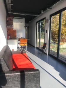- un salon avec un canapé et de grandes fenêtres dans l'établissement la kischte vintage, à Colmar