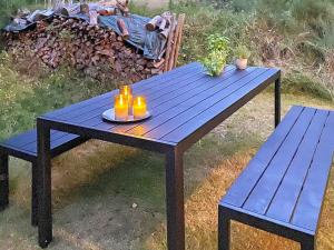 a blue picnic table with a person sleeping on a bench at 4 person holiday home in L s in Læsø