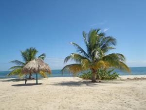 Foto de la galería de Michelo Suites en Placencia Village