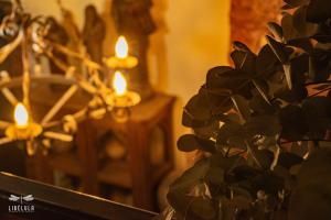 a plant with lit candles in a room with a candle holder at Libélula Cabaña- Alojamiento rural in Duitama