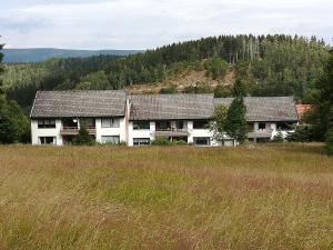 una casa en la cima de una colina con un campo en Ferienwohnung am Kunstberg 29, en Altenau
