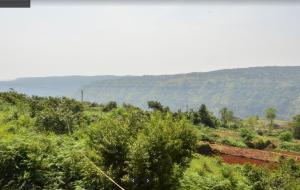 Blick auf ein Feld mit Bäumen und Bergen in der Unterkunft Savitri bungalow 3BHK in Panchgani