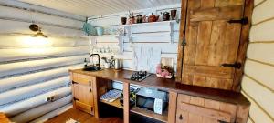 Dapur atau dapur kecil di Suzdal Like Home
