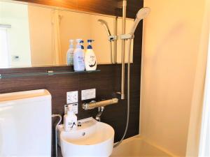 un baño con lavabo y espejo en Hotel Peace Park Tokaichi, en Hiroshima 36 fotos más