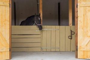 een paard dat zijn hoofd over een houten hek steekt bij Koppány Lovasudvar in Bakonykoppány