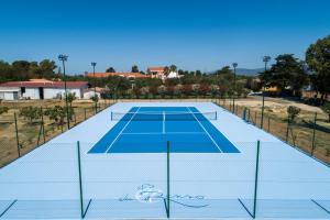 an overhead view of a tennis court at Locanda Da Renzo in Siamaggiore
