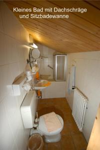 a bathroom with a white toilet and a sink at Landhaus Bergleben in Oberstdorf