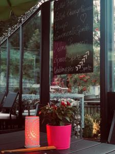 Zahrada ubytování Hotel Victoria - adults only