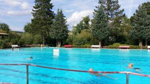 Bazén v ubytování Tauber Sonnen Lodge nebo v jeho okolí
