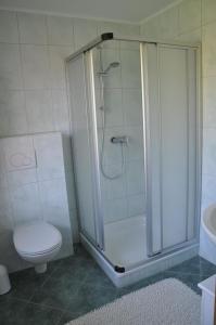 a bathroom with a shower with a toilet and a sink at Ferienhaus Blüthner in Grube