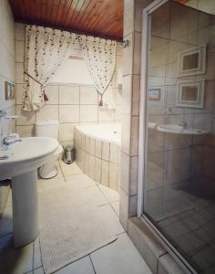 a bathroom with a shower and a sink and a tub at Ellipsis Cottage in Knysna