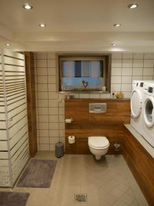 a bathroom with a toilet and a washing machine at Haus Alexandra in Schwarzenbach an der Saale