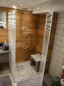 a bathroom with a shower with a bench in it at Haus Alexandra in Schwarzenbach an der Saale