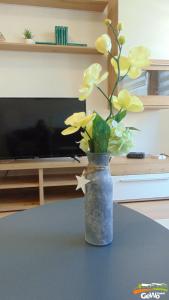a vase with flowers on a table in front of a tv at Ferienwohnung August 24 in Gelenau