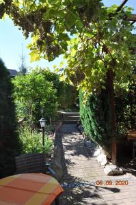 Gallery image of Pension Di Pino in Aue