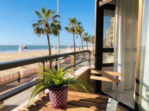 una maceta sentada en un balcón con vistas a la playa en Victoria Beach Sunset Lounge, en Cádiz