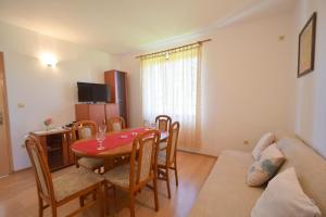 TV a/nebo společenská místnost v ubytování Apartment Anica
