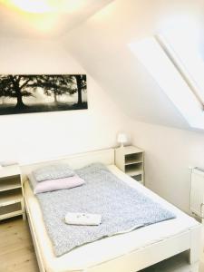 Un pat sau paturi într-o cameră la Domki i Apartamenty Całoroczne Koliber