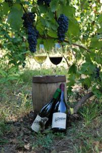 two glasses of wine and a barrel of grapes at "Pivnica i smestaj Jovanovic"- Rogljevacke pivnice in Rogljevo