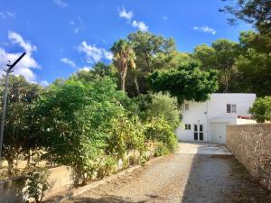 サン・ジョセップ・デ・サ・タライアにあるVilla Alexa this charming villa is just a 10 min drive to either Playa Den Bossa or San Antonioのヤシの木が立つ白い建物へ続く道