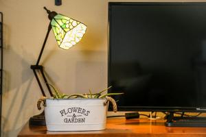 a plant in a pot next to a computer monitor at Casa de Arriba in Rinlo