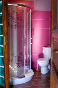 une salle de bain avec douche et toilettes dans l'établissement Cztery Sosny - noclegi Zasieki, à Zasieki