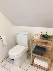 a bathroom with a toilet and a shelf with a plant at Elleholm in Odense