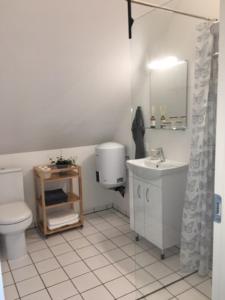 a bathroom with a toilet and a sink and a mirror at Elleholm in Odense