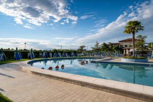 a large swimming pool with blue chairs and palm trees at Hotel Villa Sara in Mestre