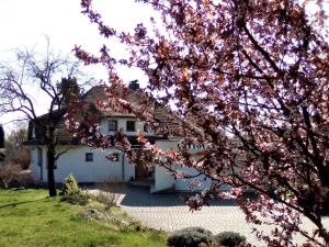 Fotografia z galérie ubytovania Ubytování Pod lázněmi Klimkovice v destinácii Klimkovice
