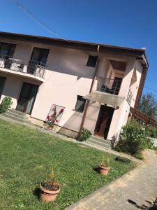 a white house with two potted plants in front of it at Silviu in Baile Unu Mai
