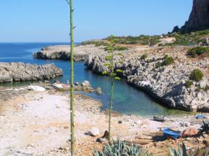 a beach with some rocks and water and a tree at VILLETTA MAGNOLIE by TreRose Properties - Villetta indipendente con wi-fi e parcheggio privato gratuito in San Vito lo Capo