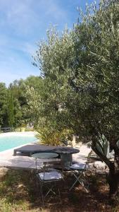 ein Picknicktisch und Stühle unter einem Baum neben einem Pool in der Unterkunft Bastide Cigaline in Le Beausset