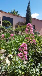 einen Garten mit rosa Blumen vor einem Haus in der Unterkunft Bastide Cigaline in Le Beausset