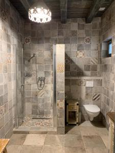 uma casa de banho com um chuveiro e um WC. em Resident Wellness Vendégház Békéscsaba em Békéscsaba
