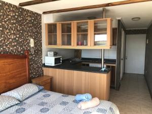 Η κουζίνα ή μικρή κουζίνα στο Pingel Apartment Vista Cochoa +17 φωτογραφίες