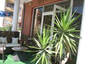 Fotografie z fotogalerie ubytování Art Guest House Orchidea v destinaci Pomorie