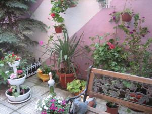 Zahrada ubytování Art Guest House Orchidea