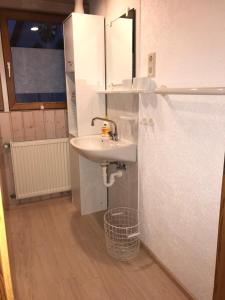 a bathroom with a sink and a mirror at Ferienhaus Bärbelstein- Burgblick in Erlenbach