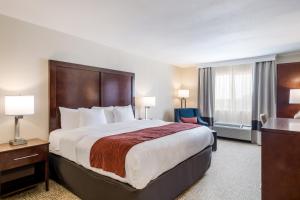 Posteľ alebo postele v izbe v ubytovaní Comfort Inn Bonner Springs Kansas City