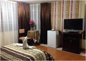 TV a/nebo společenská místnost v ubytování Hostal Jora Continental