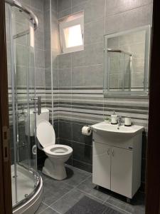 Apartman Spring的一间浴室